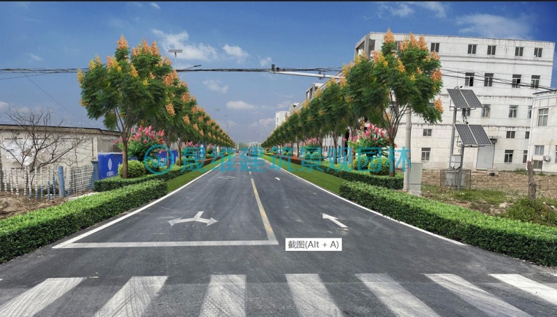 江苏沭阳湖西工业园区道路设计