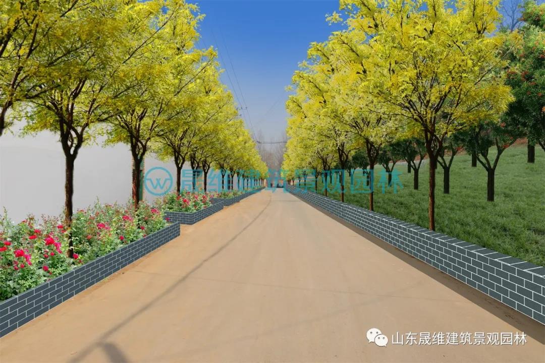 济宁美丽乡村设计